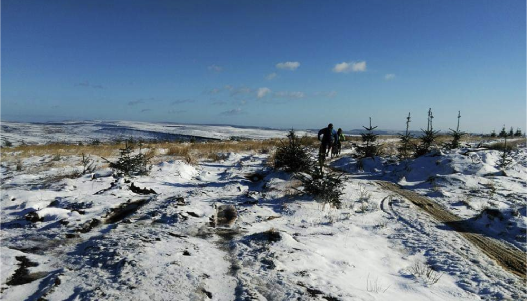 Screenshot_20231103-110045