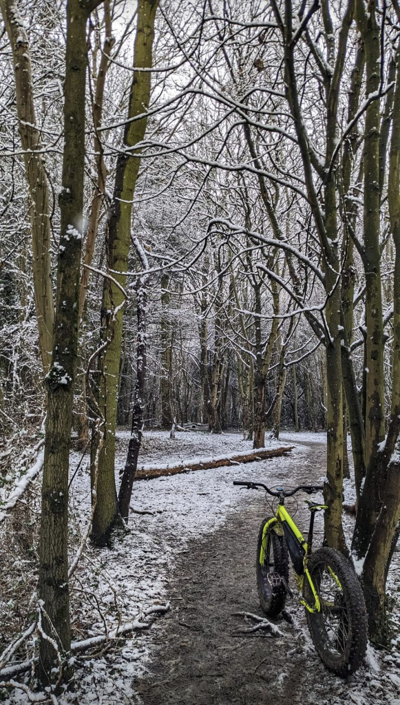 Screenshot_20231103-111033