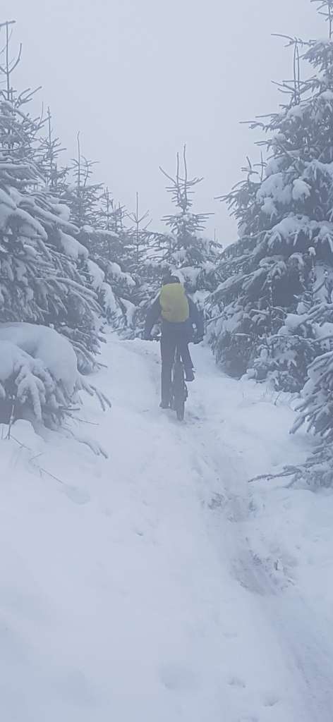 Screenshot_20231103_130629_Gallery