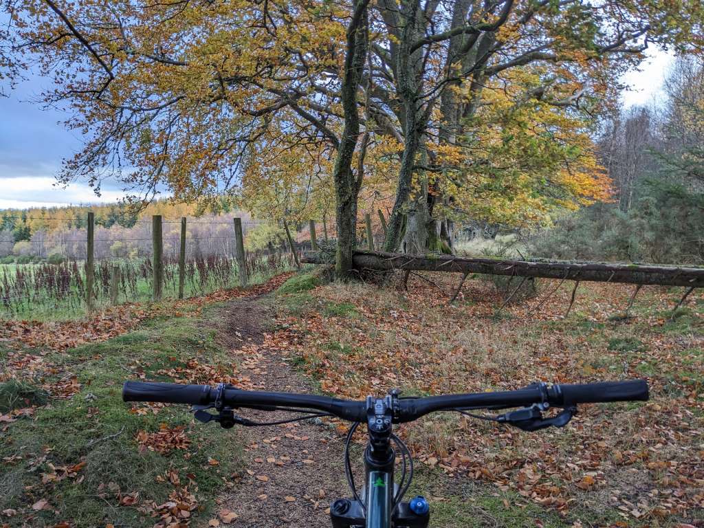 PXL_20231103_102716311