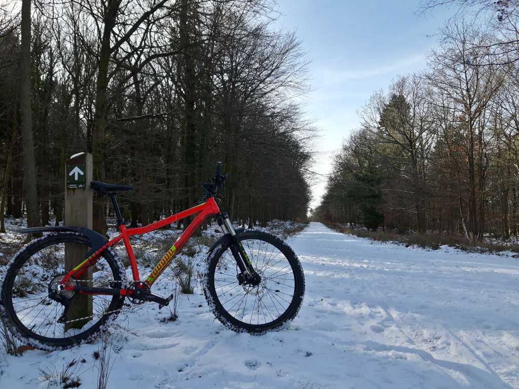 20190203_120543_Richtone(HDR)