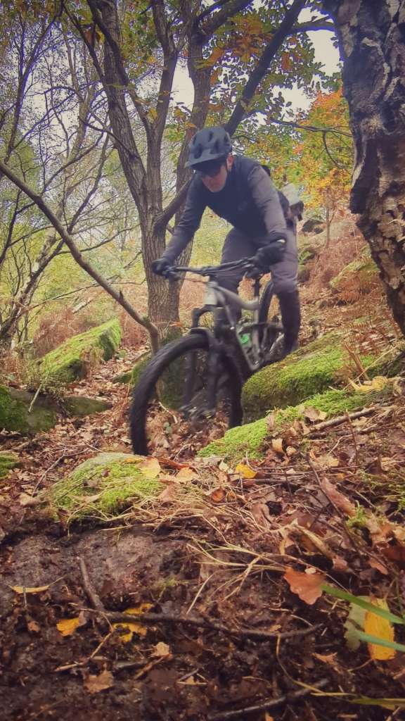 PXL_20231104_104149657_exported_23942-01