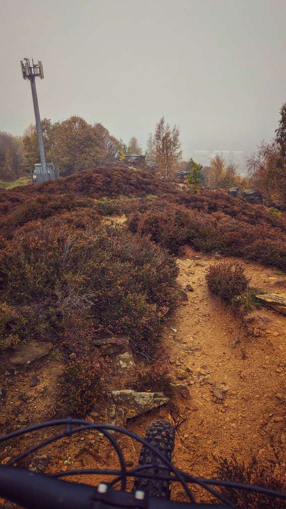 PXL_20231104_101201164.MP-01