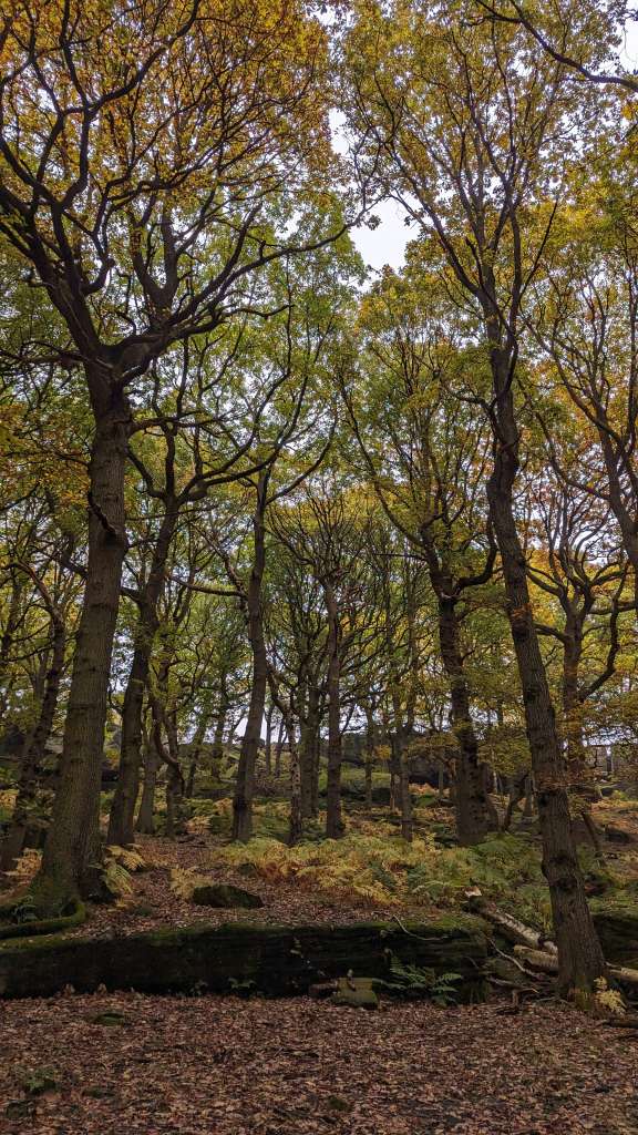 PXL_20231104_104837912.MP-01