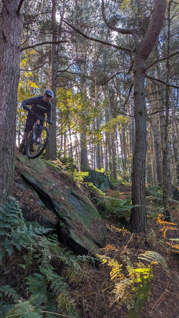 PXL_20231105_131620971.MP