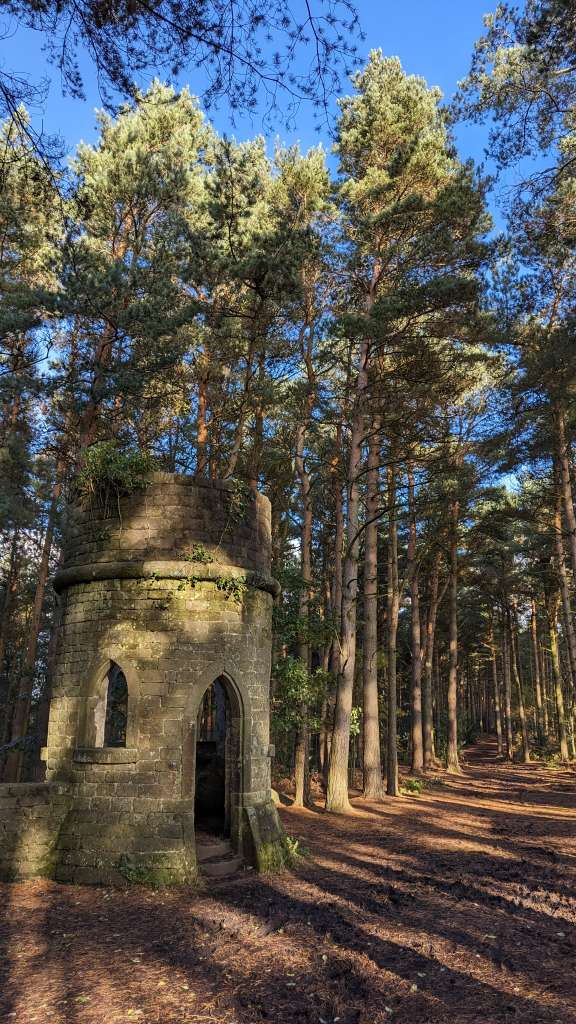 PXL_20231105_131911995.MP