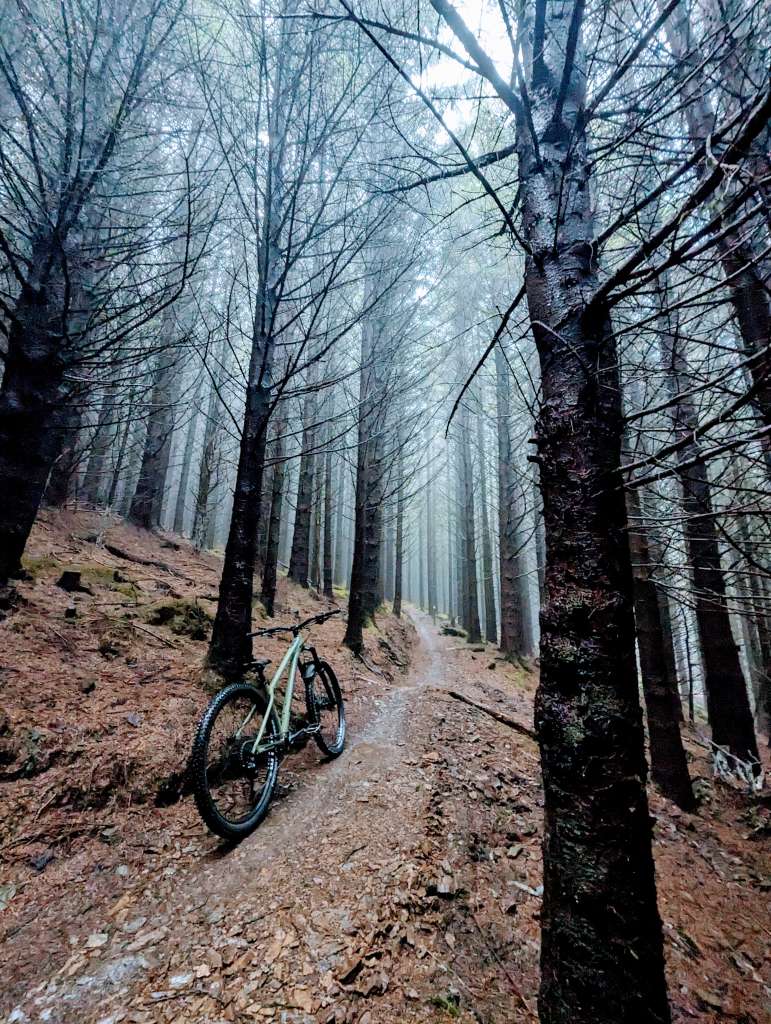 PXL_20231106_121004959~2