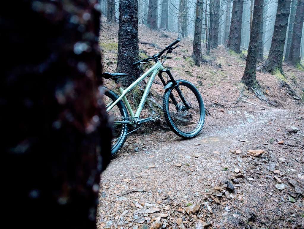 PXL_20231106_121014708~2