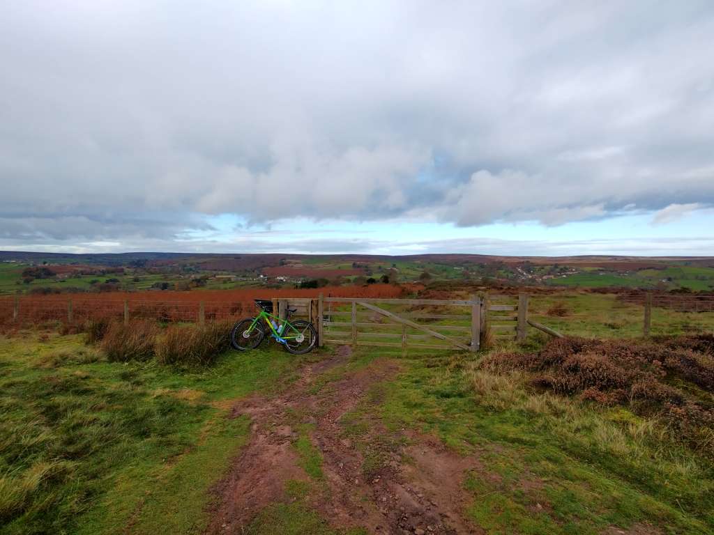 IMG_20231106_111237495_HDR