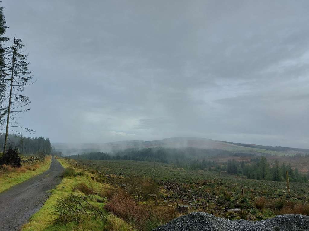 20231104_112459_Original