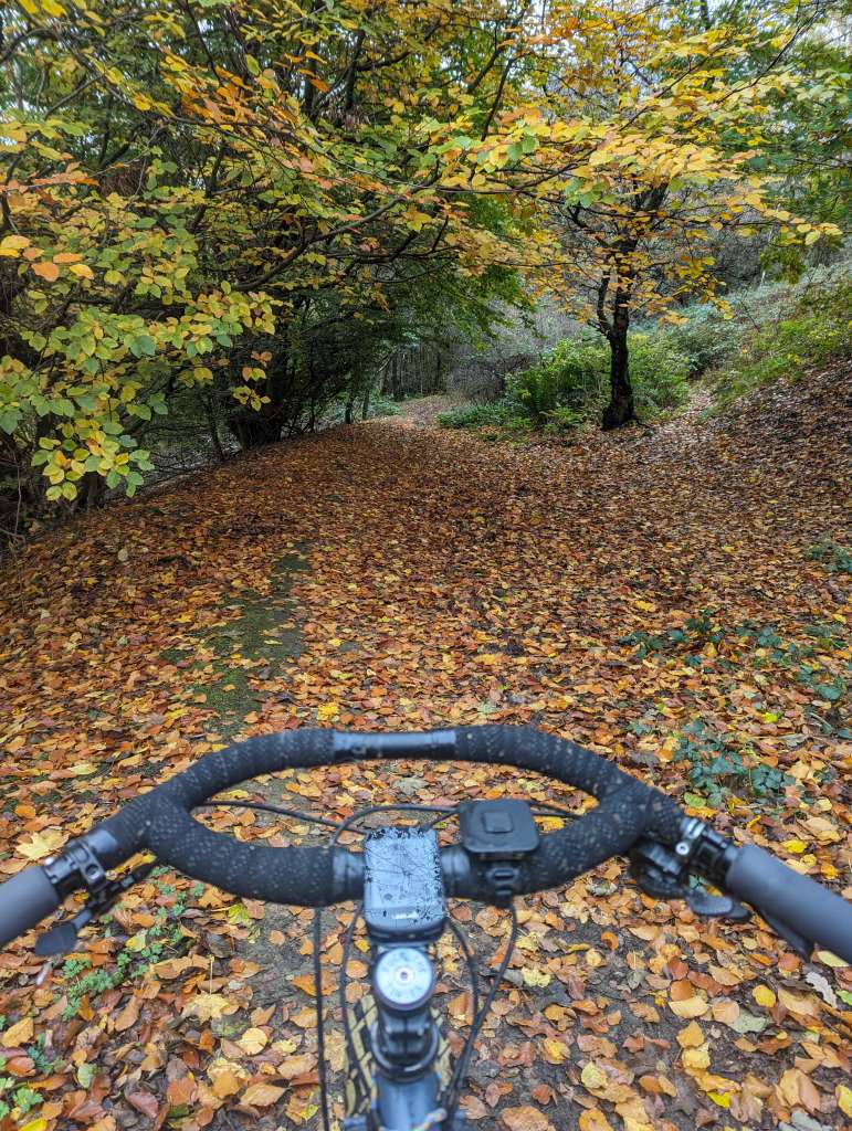 PXL_20231104_122455571