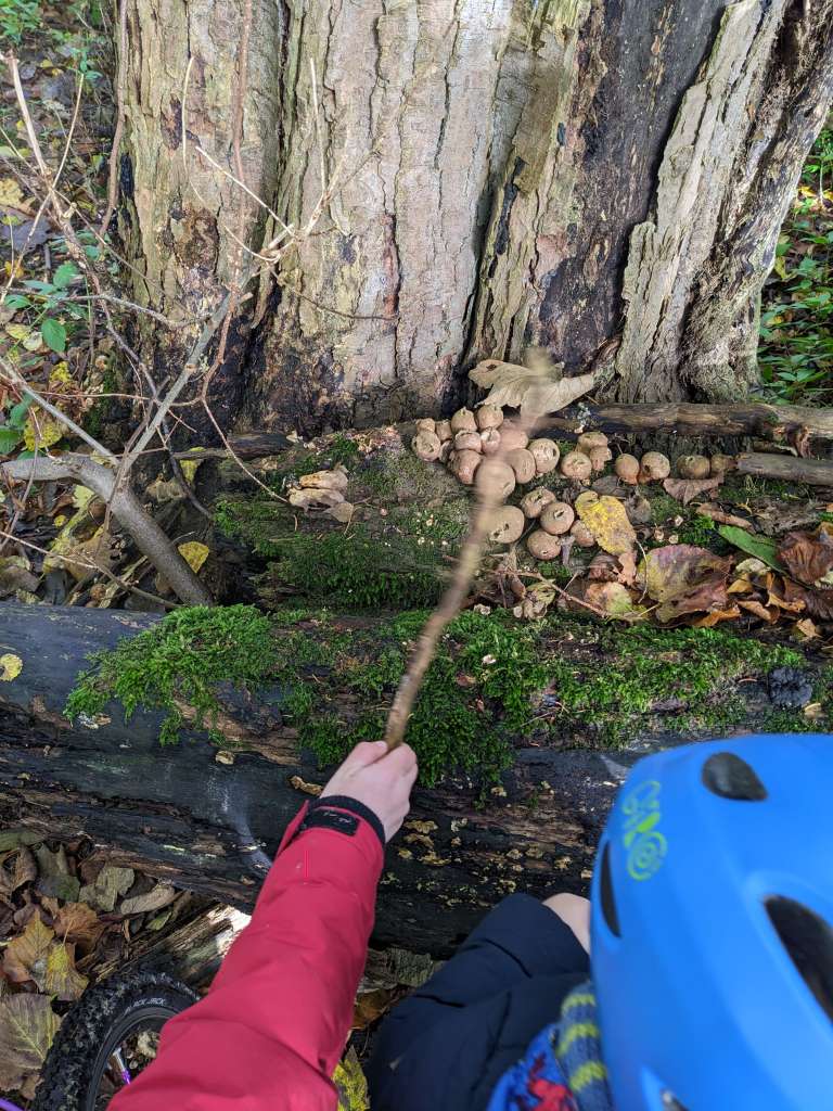 PXL_20231028_101532937