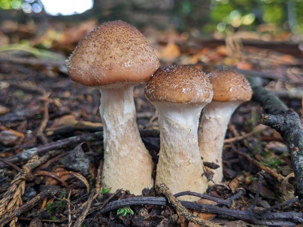 PXL_20231028_100103938.PORTRAIT