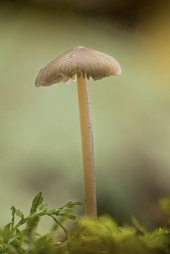 Screenshot_20231111-175357~3