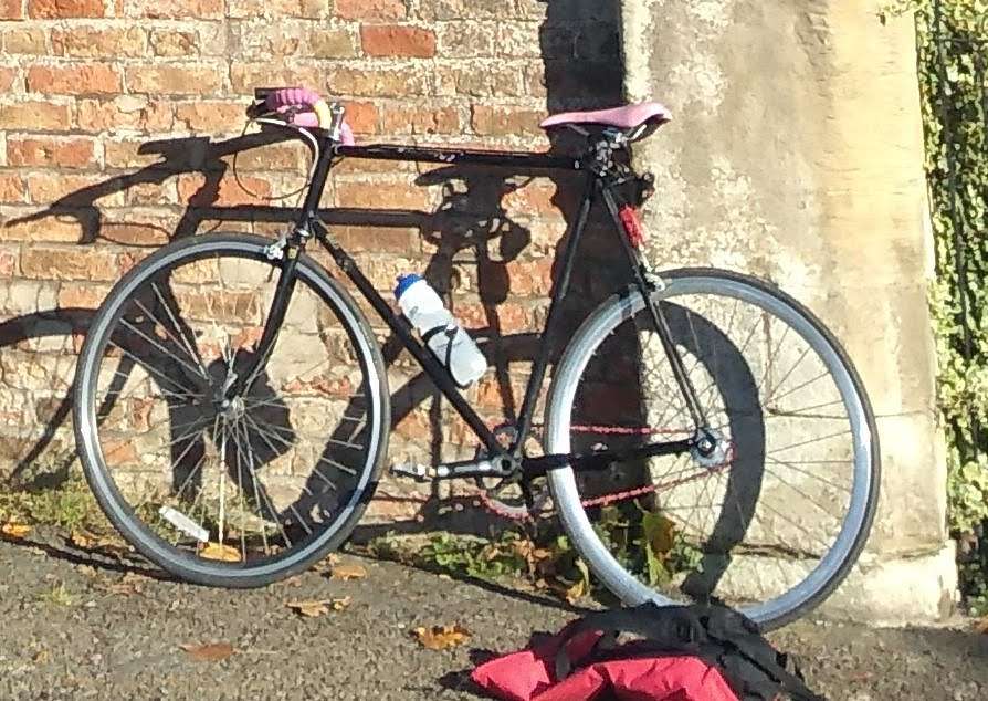 IMG_20231015_095823703~2