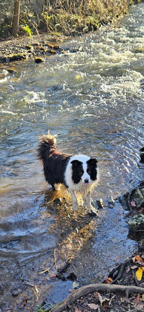 Screenshot_20231125_150526_Gallery