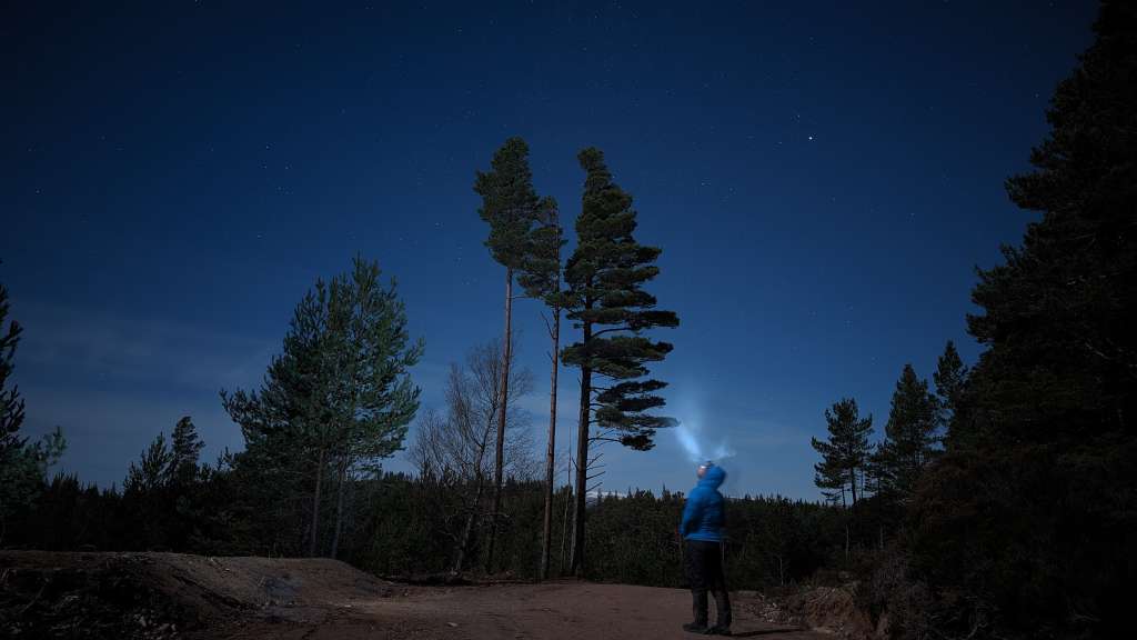 PXL_20231125_212500437.NIGHT