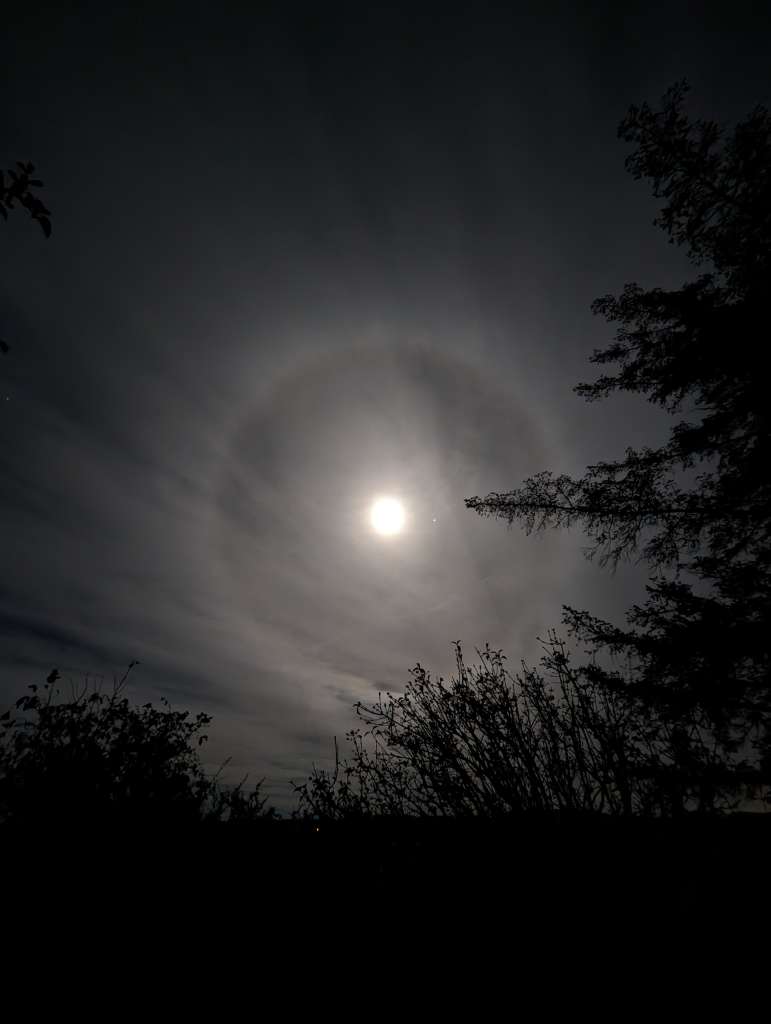 PXL_20231125_192923111.NIGHT