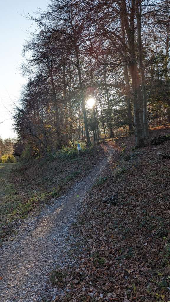 PXL_20231125_141149547