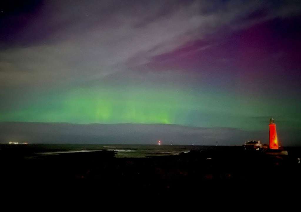 Screenshot_20231125-193441