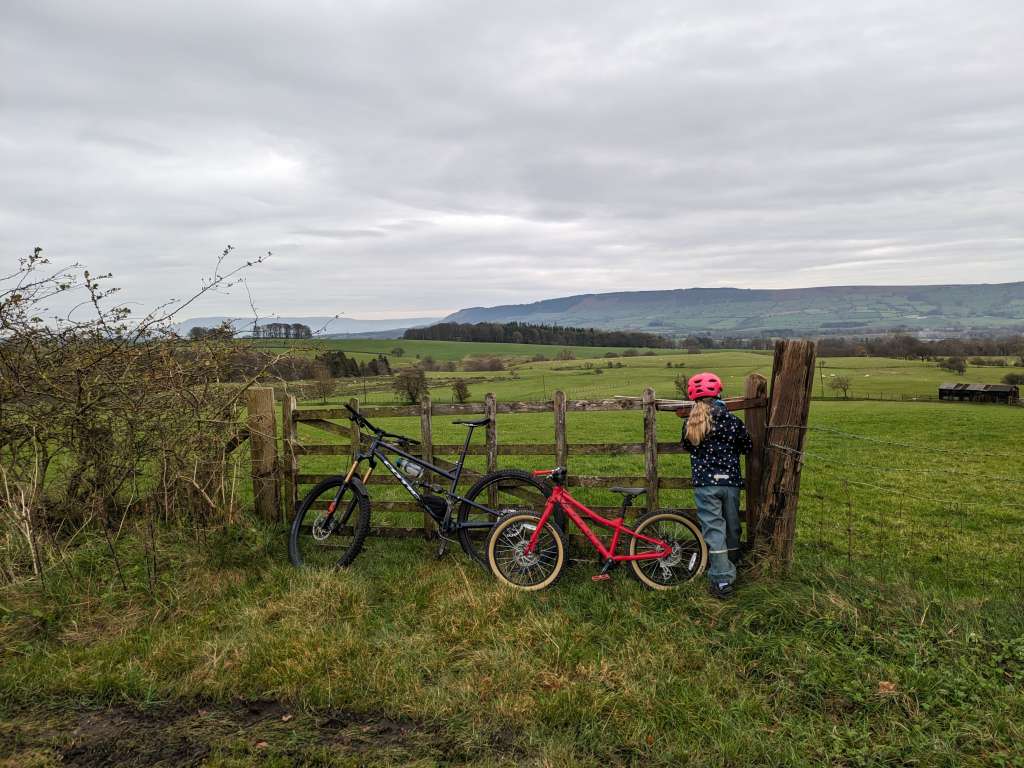 PXL_20231126_115639022