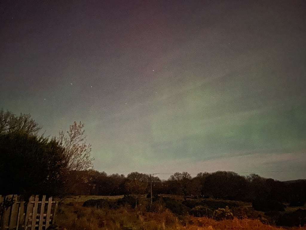 8C97A161-1205-4D51-82D4-0CC56F0BCCAB