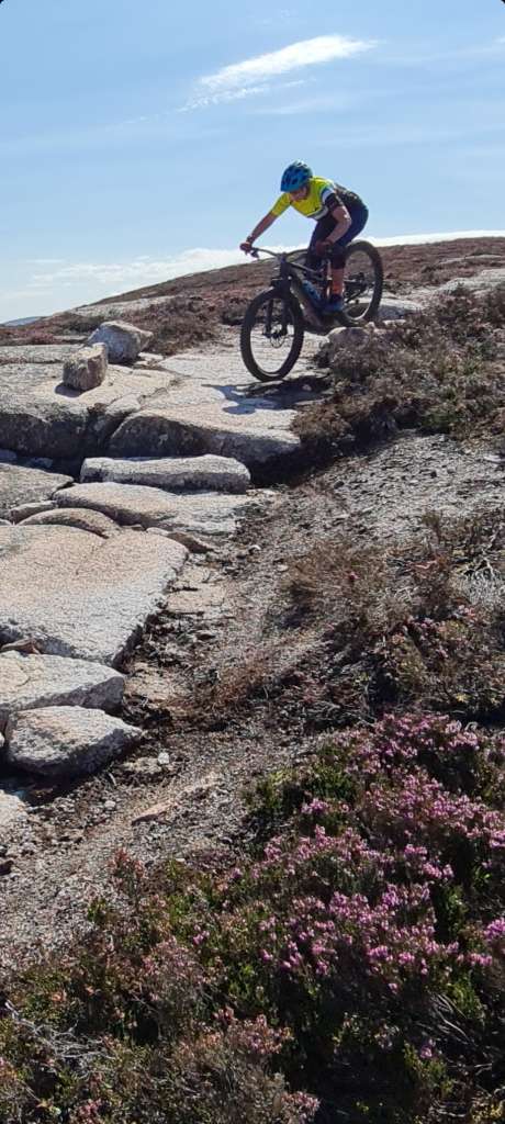 Screenshot_20210818-172555_Gallery