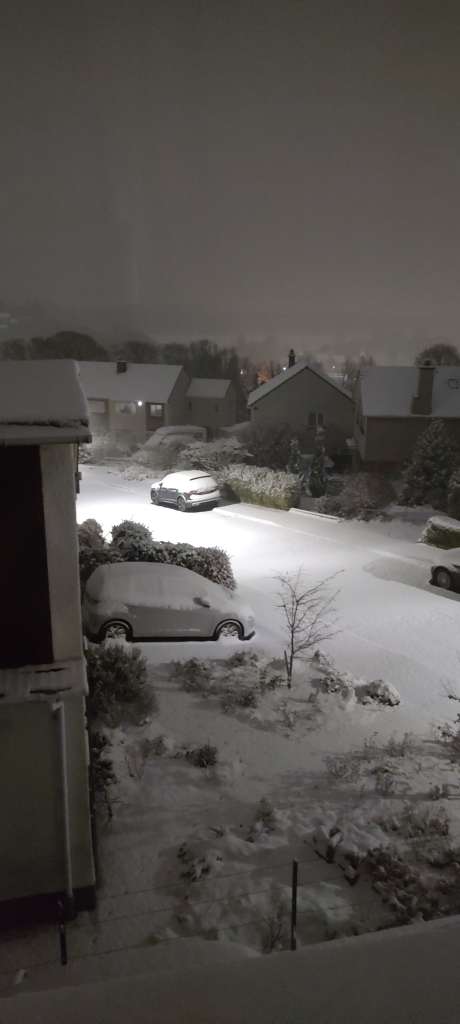 IMG_20231202_071047294