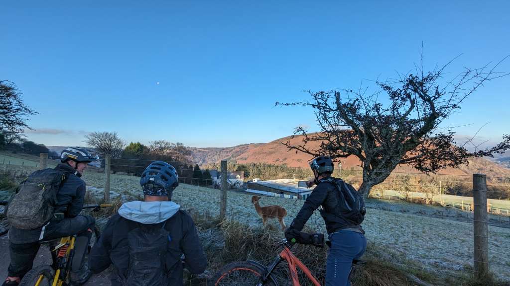 PXL_20231201_095726361