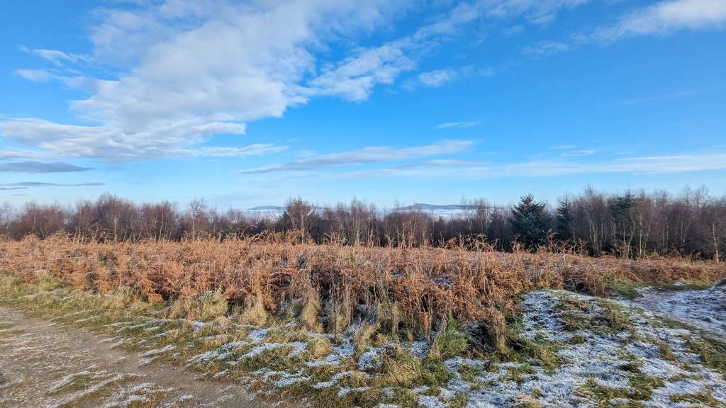 PXL_20231202_122232512