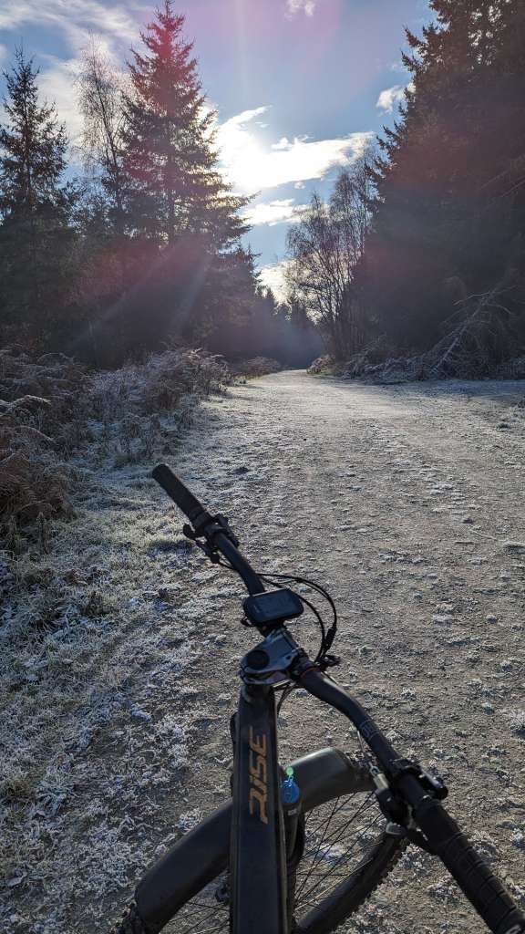 PXL_20231202_121042495