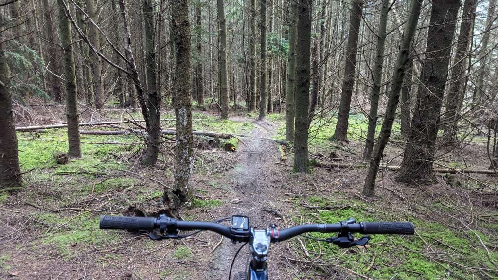 PXL_20231202_123336811