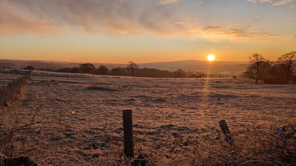 PXL_20231202_081614175