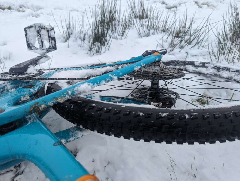 PXL_20231203_125634894