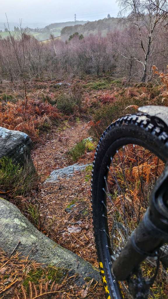 PXL_20231209_132734958.MP-01