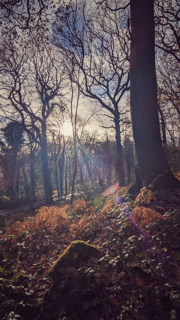 PXL_20231209_130107178.MP-01