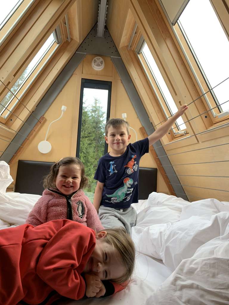 017bdd1438939e5725cfd68f5067ff4193e59328e6