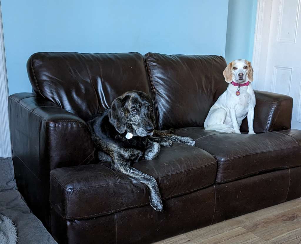 PXL_20231216_114820617