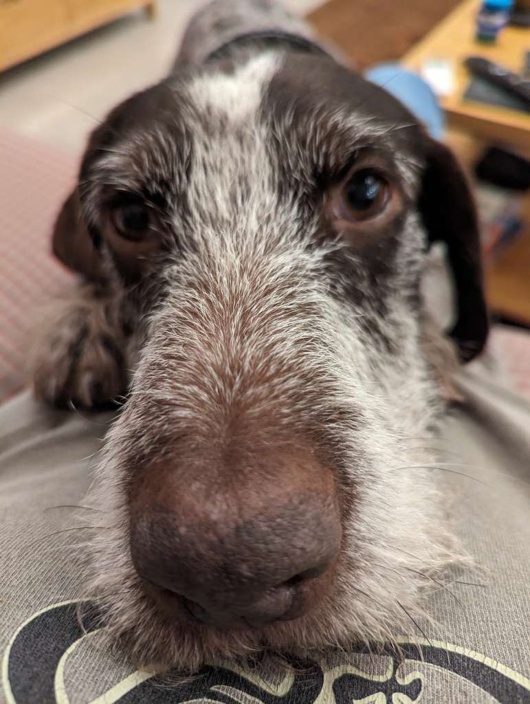 PXL_20231110_171437138