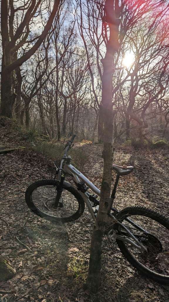 PXL_20231217_114149306.MP-02