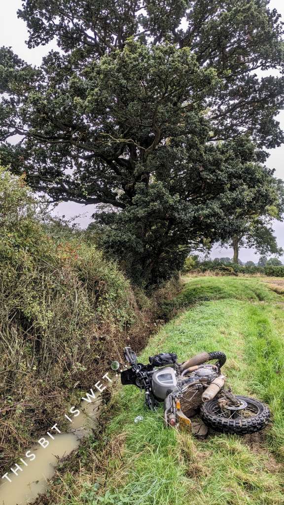 PXL_20231021_104435532-01