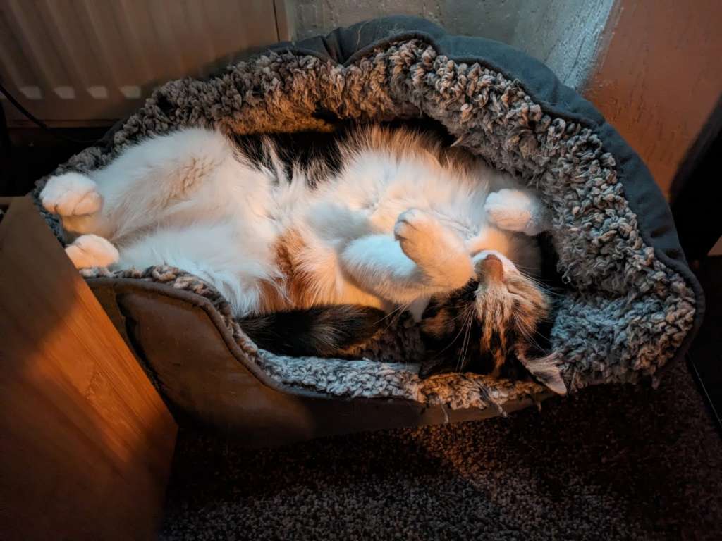 Freya