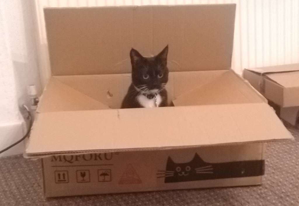 mollie box