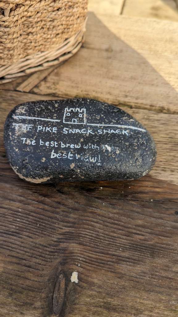 PXL_20231219_142025803.MP