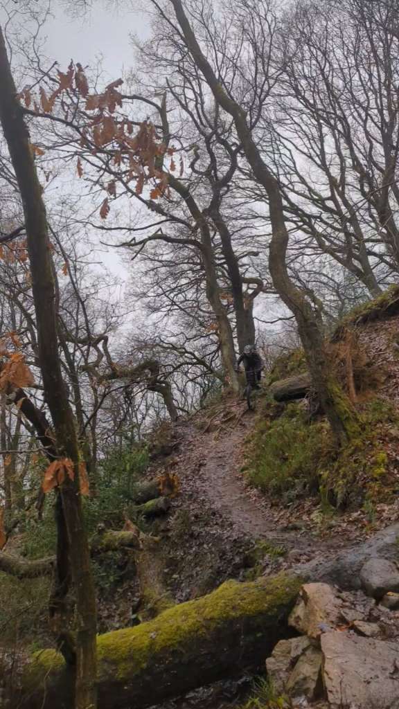 PXL_20231223_132310488.LS_exported_6503~2