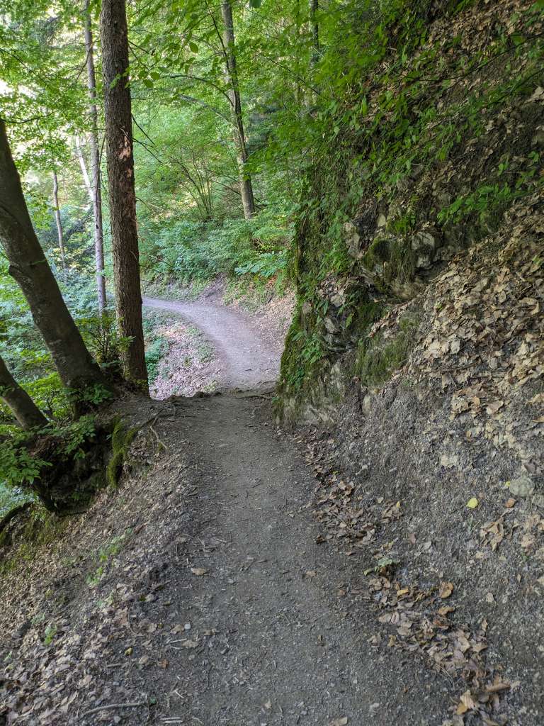 PXL_20230704_135329547