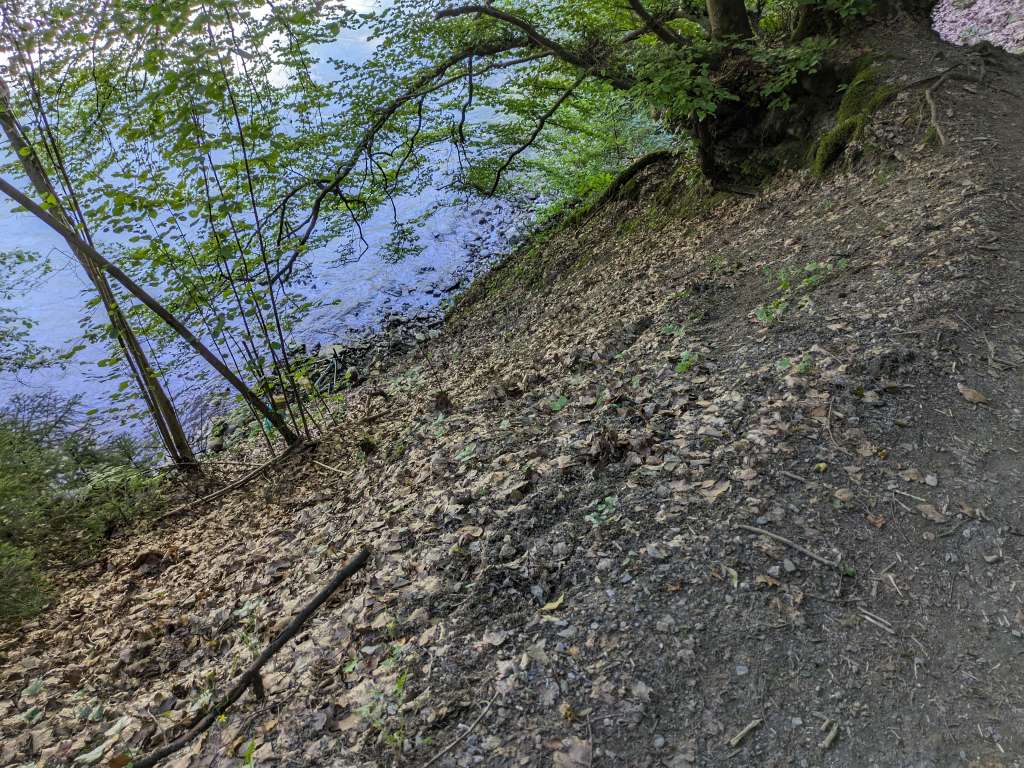 PXL_20230704_135351151