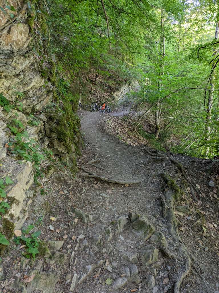 PXL_20230704_135409684~2