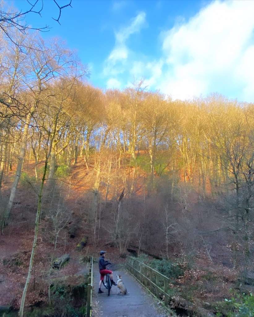 735B76E8-9F5E-4F26-B12A-4D621853347A