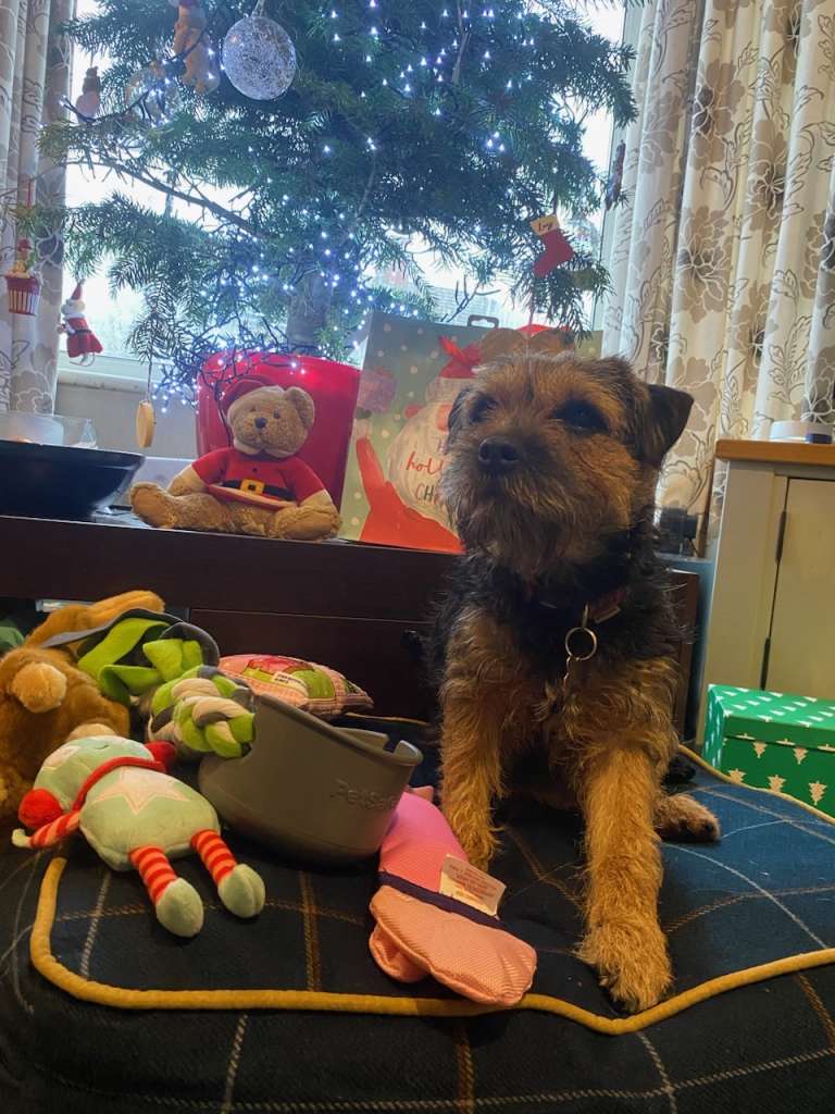 incoming-B8FA9D2E-FD18-4B46-9BD6-525440D761B6